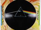 Pink Floyd - The Dark Side Of The Moon Picture Disc LP - Capitol/EMI Ltd. VG+