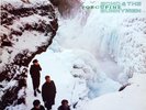 Echo & the Bunnymen - Porcupine (1983) WEA Vinyl LP OIS