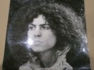 Tyrannosaurus Rex ‎– A Beard Of Stars . LISTEN