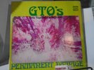 GTO’s Permanent Damage White Label Promo Vinyl Record LP