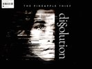 The Pineapple Thief - Dissolution (Vinyl LP)