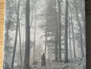 Taylor Swift Folklore Vinyl In The Trees Marbled