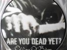 Children Of Bodom ‎– Are You Dead Yet? - Limited edition VINYL (2009)