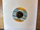 FRANKIE VALLI & THE FOUR SEASONS The Night 7