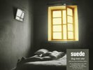 SUEDE DOG MAN STAR [30TH ANNIVERSARY DELUXE EDITION] NEW LP