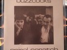 Buzzcocks Spiral Scratch E.P. White Labels Card Insert Plastic Slipcover EX/EXℹ️