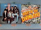Here Are The Chesterfield Kings & Night Of The Living Eyes Vinyl LP Record Lot