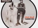 David Bowie - Diamond Dogs 40th anniversary picture disc unplayed & still sealed