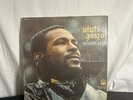 MARVIN GAYE 