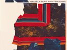 Grizzly Bear Painted Ruins (Vinyl) 12