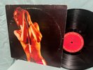 Iggy and The Stooges  