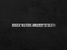 DUTY FREE ROGER WATERS - AMUSED TO DEATH Analogue Productions 45 Box VINYL