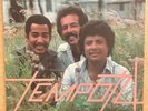TEMPO 74 S/T / RARE SALSA GUAGUANCO ROMATICA LP / PERFORMANCE