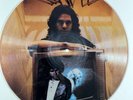 THE DOORS PICTURE DISC : 