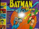 Batman & Robin (1966) The Sensational Guitars Of Dan & Dale