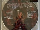 Cannibal Corpse TORTURE vinyl PICTURE DISC LP RARE OOP death metal Corpsegrinder