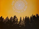 THE DECEMBERISTS - THE KING IS DEAD - VINYL LP 
