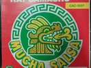 EL INTERNACIONAL RAY CAMACHO - MUCHA SALSA / RARE LATIN FUNK BAY AREA CHICANO LP