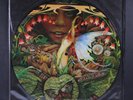 SPYRO GYRA: morning dance INFINITY 12