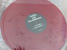 Catfish and The Bottlemen Tortuga and Sidewinder