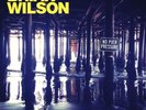 Brian Wilson - No Pier Pressure - Double LP - 180g Vinyl - NEW & SEALED