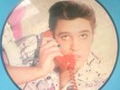 Rare LP 33T  Picture Disc  Elvis Presley ‎– Lover Doll - Denmark 1984 AR - 30023