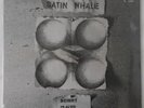 Satin Whale: 