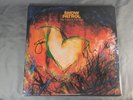 Snow Patrol Hand Signed Marble Blue Vinyl Autograph The Forest Is The Path
