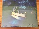Ocean Rain by Echo & the Bunnymen (Record, 2011)