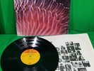 The Electric Prunes Release of an Oath LP  Reprise RS6316 vintage vinyl
