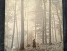 Taylor Swift - Folklore (In the Trees) RARE Marbled Vinyl