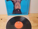 Timebox Patto-Halsall Moose on the Loose LP 1976 Peters Intl Prog Psych