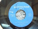 RARE MICHIGAN GARAGE ROCK-DESTINATION 621-THE SHEFFIELDS-DO YOU STILL LOVE ME-45