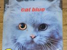 Cat Blue I- Salsa Colombia - Salsoul