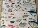 Cosmo Sheldrake Lp Analog Record