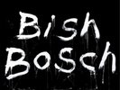 Scott Walker Bish Bosch (Vinyl) 12