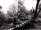 Timber Timbre Timber Timbre LP Vinyl FTH101LP NEW