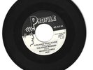 MICKEY HAWKS 45  ( USA )  Screamin' Mimi Jeanie  orig.  NM