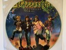 Sloppy Seconds - Destroyed, Picture Disc Vinyl LP NM Punk