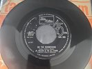 JR. WALKER and THE ALL STARS - MONEY ( THAT’S WHAT I WANT ) TMG 596
