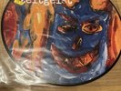 the levellers vinyl Zeitgeist Ltd Picture Disc Album Vinyl
