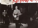 Buddy Holly Not Fade Away 55TH ANN. SPECIAL EDITION Vinyl Single 7inch