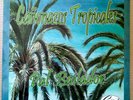 CAÑONAZOS TROPICALES PAL BAILADOR - CONJUNTO SAN FERNANDO - CUMBIA LOCA