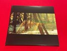 CHILDISH GAMBINO - Camp - Vinyl (trifold 180 gram vinyl 2xLP)