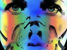 Underoath - They're Only Chasing Safety [Used Very Good Vinyl LP] Colored Vinyl,