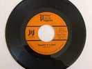 PRINCE AND THE PAUPERS  - rock GARAGE PUNKY  60's MINNESOTA - VERY RARE
