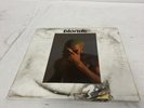 Blonde by Frank Ocean ( Record, 2023, Blonded) Vinyl 2LP & Poster