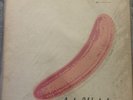 The Velvet Underground Nico 1st GERMAN RAAAR