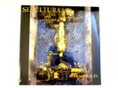 SEPULTURA CHAOS A.D. LP EXPANDED EDITION (2) 180 GRAM VINYL