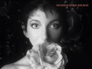 Kate Bush - The Sensual World / Ltd. Ash Grey Vinyl Fish People Edition